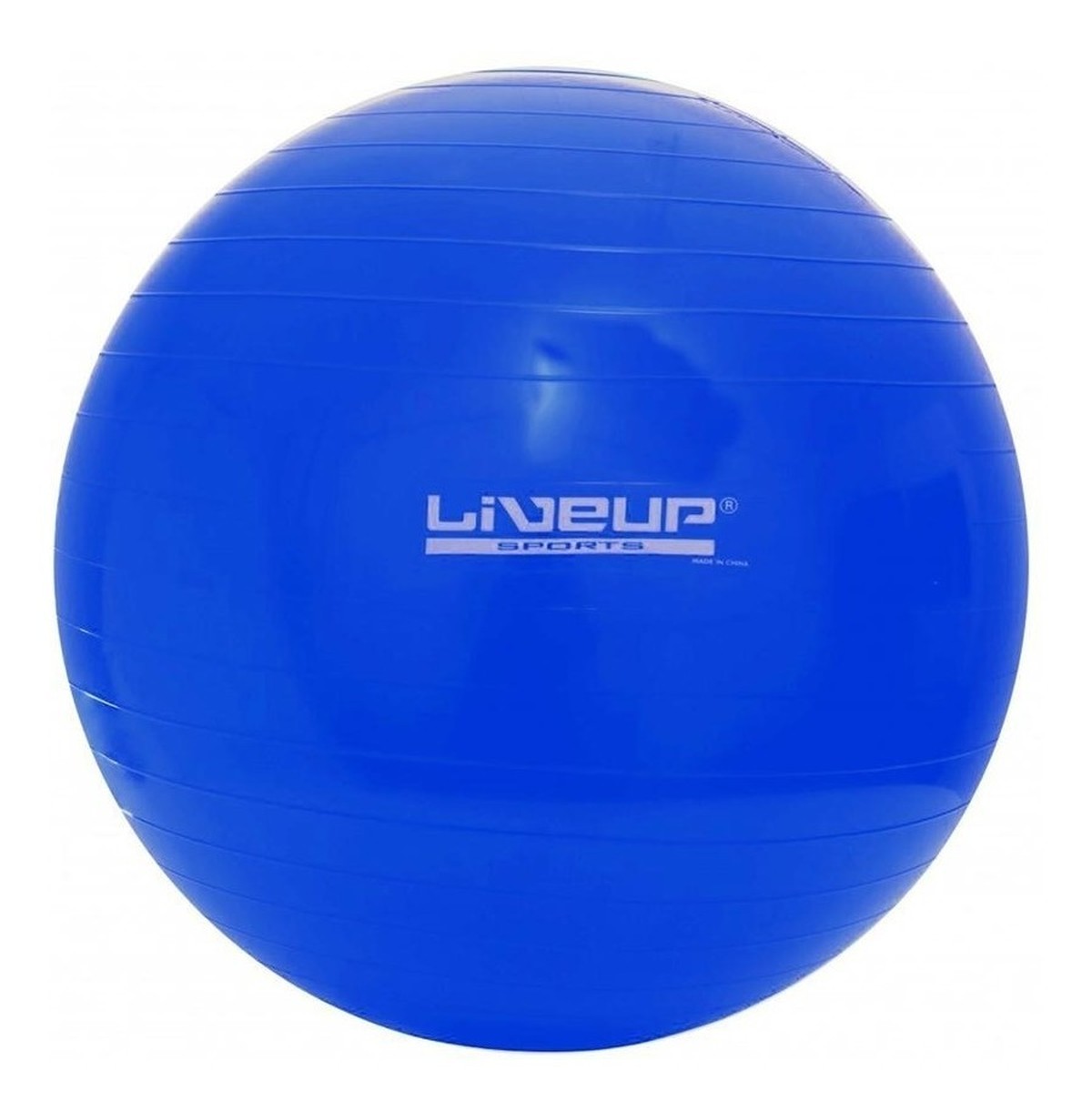 Foto do produto Bola Suiça Premium Para Pilates 65Cm - Liveup