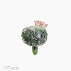 Mini Cactus Com Flor
