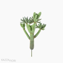 Cactus (10840)