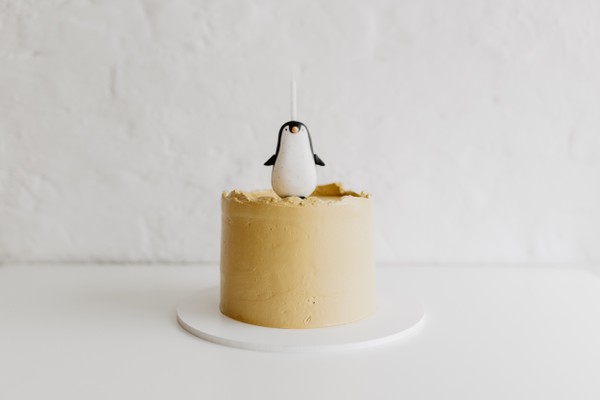 Foto do produto pinguin em biscuit
