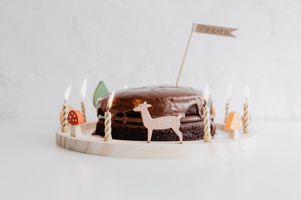 Foto do produto cake ring (floresta)