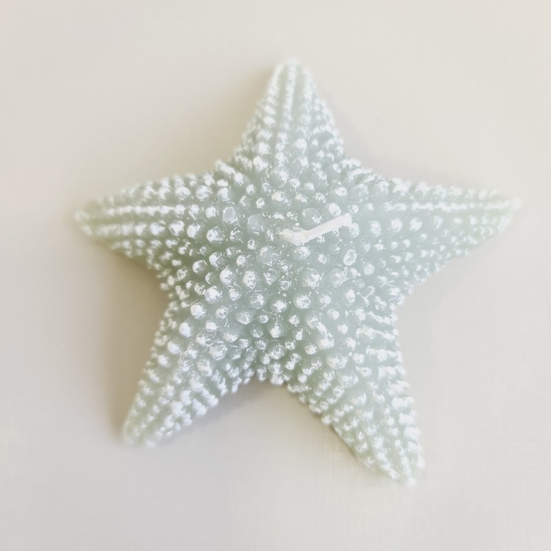 Vela Decorativa Natural Estrela do Mar Verde 13cm