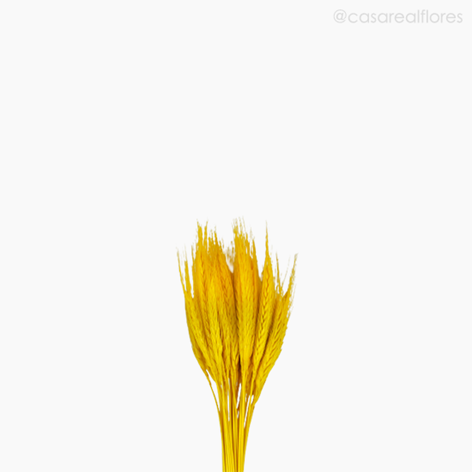 Imagem 3 do produto Trigo Colorido Seco - Amarelo (1116412)