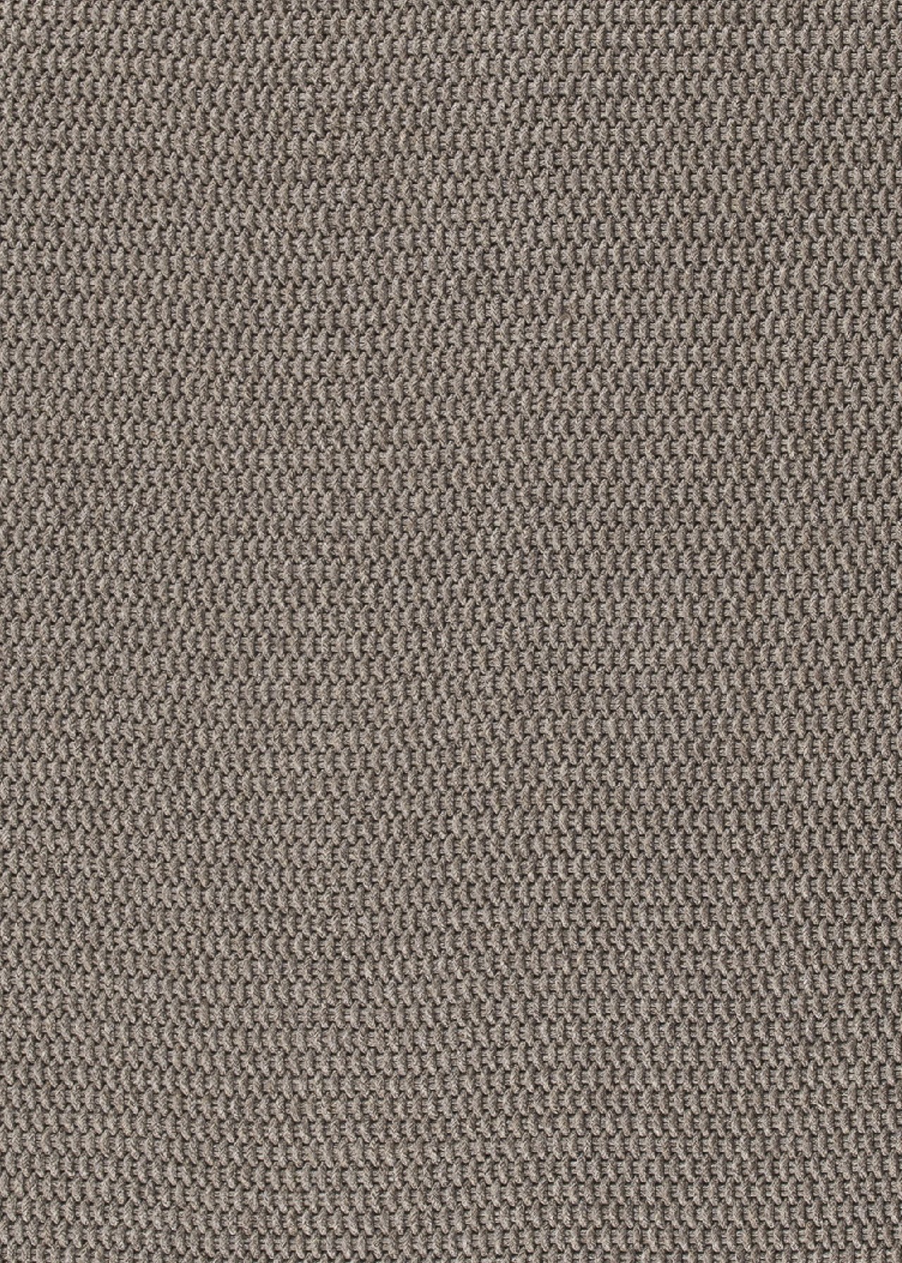 Litoral Ubatuba Grey