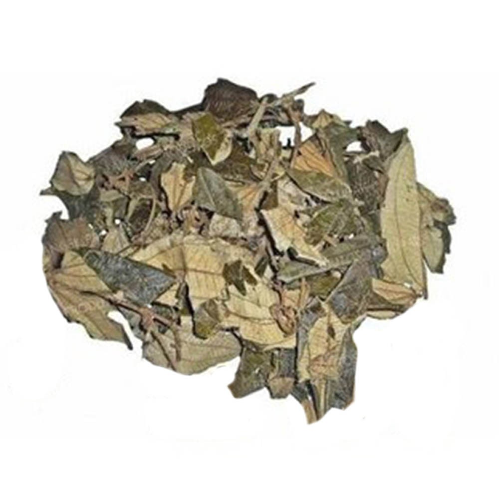 Chá de Folha de Algodão - Gossypium Hirsutum - 100g